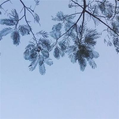 第五龙域满v变态版下载